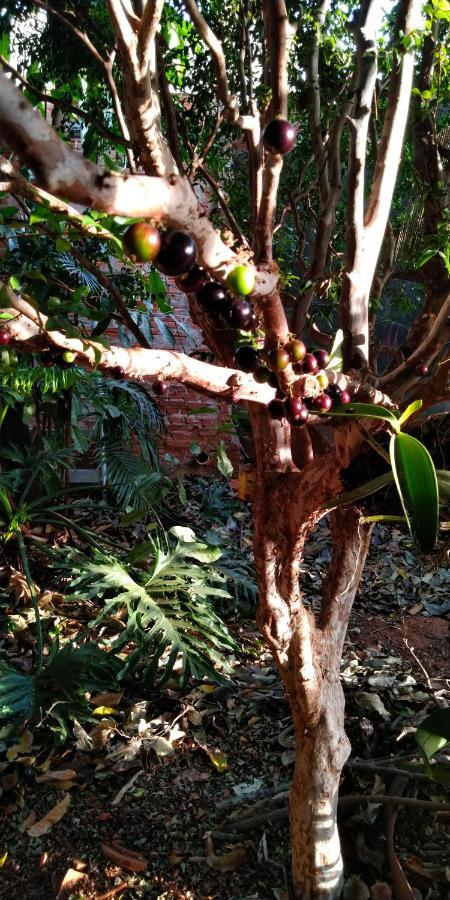 Cafe Com Arte Pousada Ecologica Botucatu Eksteriør billede